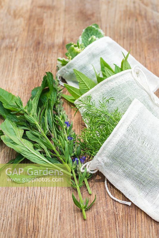 Cuttings of Chamomile 'Double', Mentha and Lemon Verbena within sachets. 