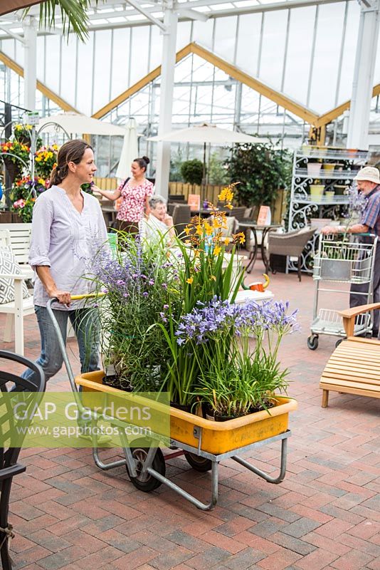 Woman at a garden centre pushing trolley of plants through the shopping area