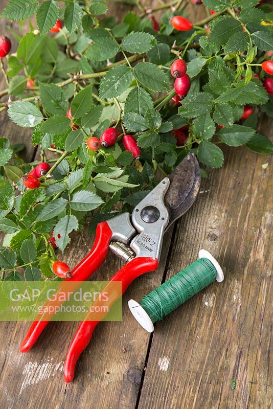 Materials needed to make a rosehip wreath are Secateurs, Rose hips and Twine. 