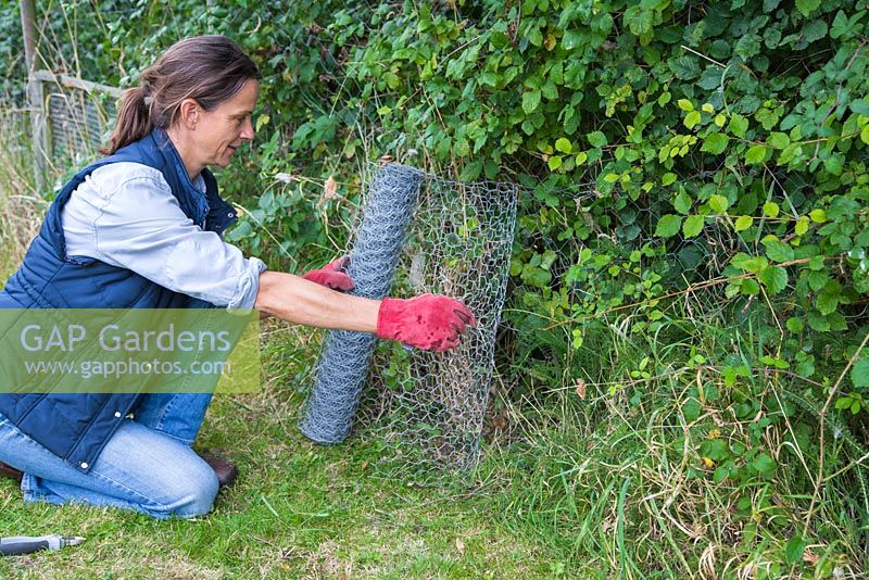 Fencing off a Rabbit hole - Measuring up length of chicken wire needed to cover hole