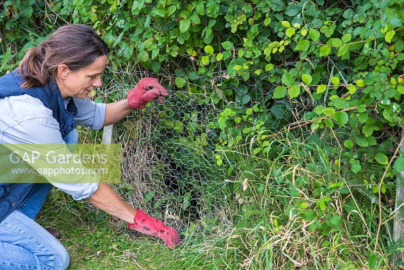 Fencing off a Rabbit hole - Placing chicken wire in position
