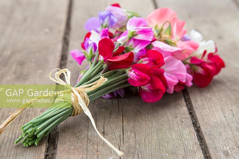A bouquet of sweet peas on a wooden table