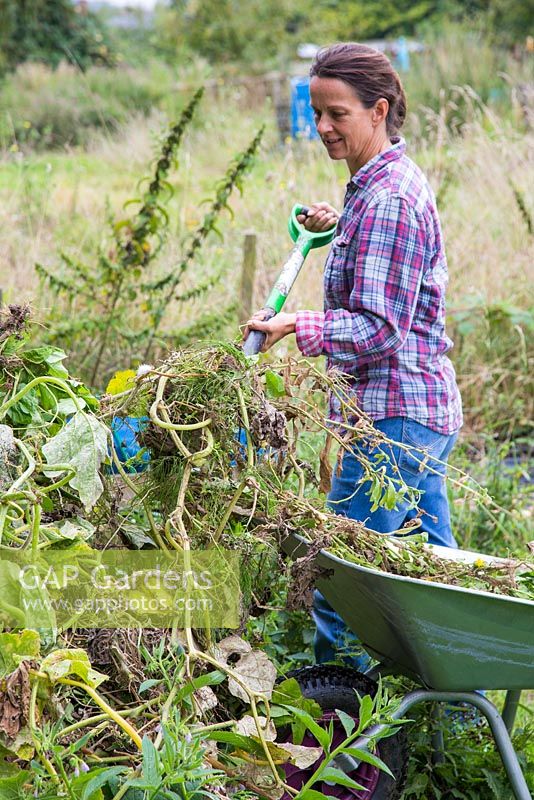 Woman clearing an allotment. Placing waste on top of a compost pile