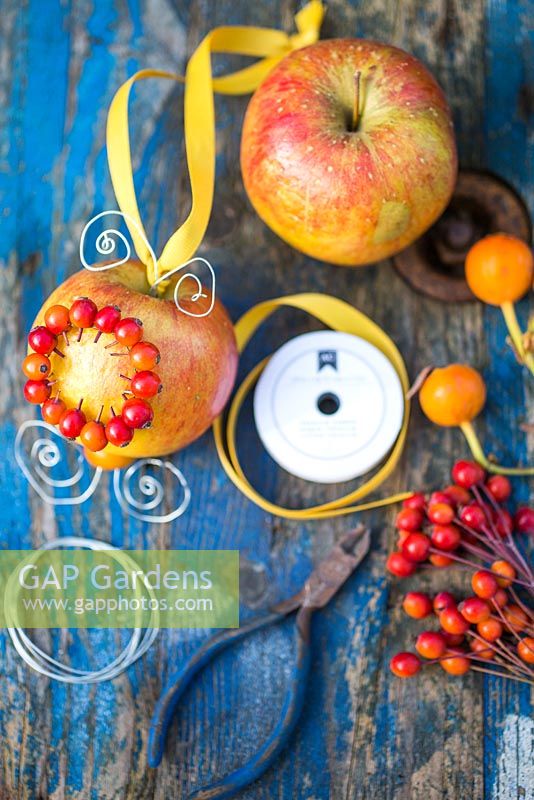 Making a decorative Rose hip and Apple bird feeder. Materials needed are Rose hips, Ribbon, Metal wire, an Apple and cutters.