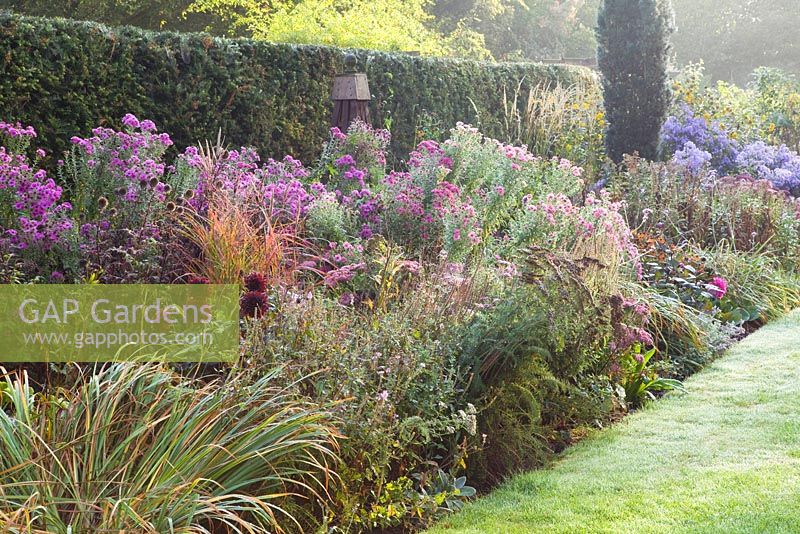 Herbaceous Borders in autumn
