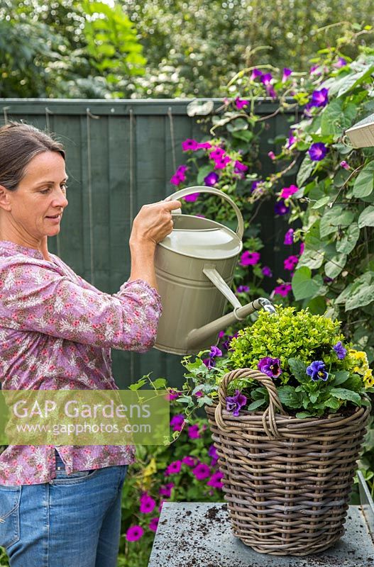 Watering plants in container. 