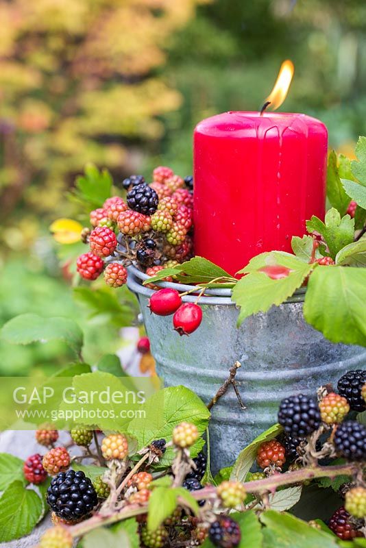 Red candle display decorated with Rubus fruticosus - Brambles and Crataegus - Hawthorn