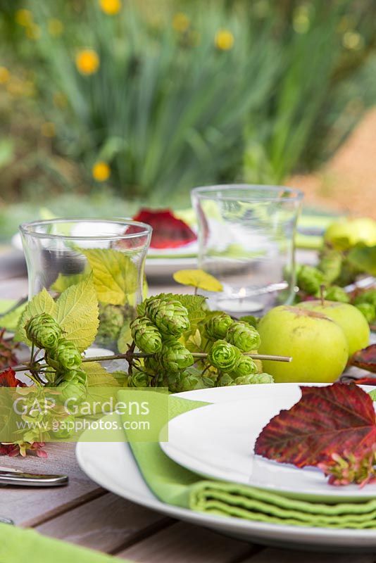 Table place setting decorations with hops, apples and acer rufinerve foliage