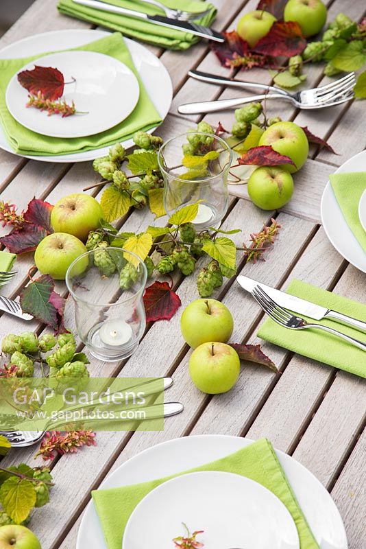 Table place setting decorations with hops, apples and acer rufinerve foliage