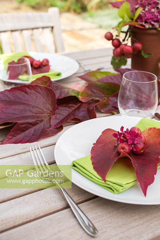 Table place setting with parthenocissus, crab apples and hydrangea flowers