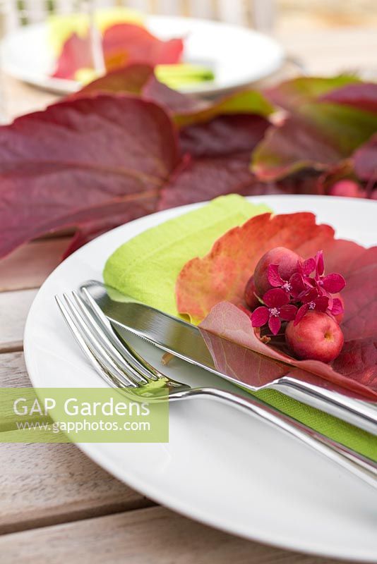 Table place setting consisting of parthenocissus, crab apples and hydrangea flowers
