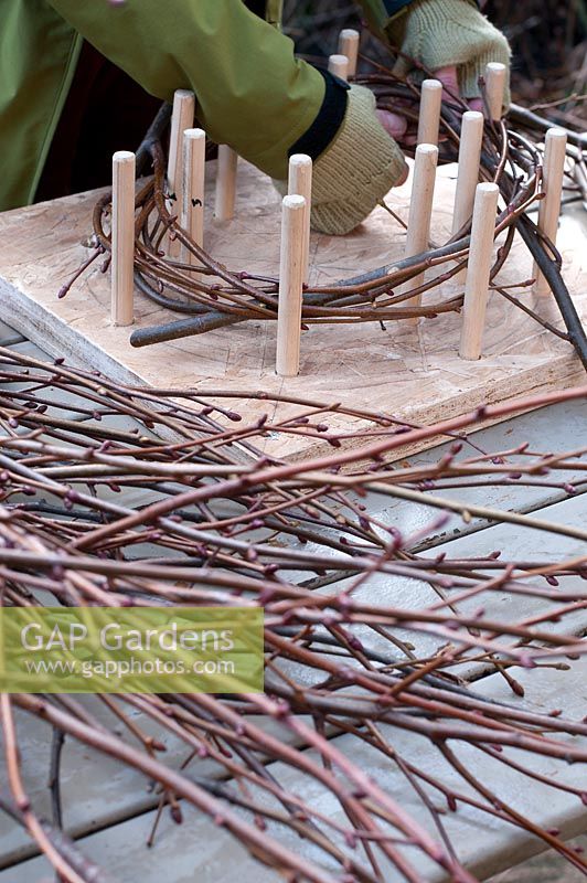 Using a peg frame to form the circular base of a wreath out of long twigs .