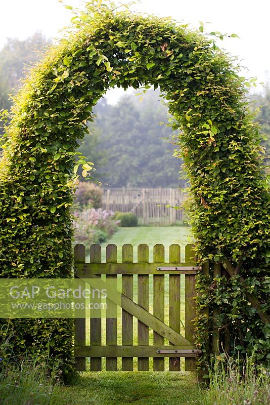 A hornbeam arch with a wooden gate entrance. Long borders.