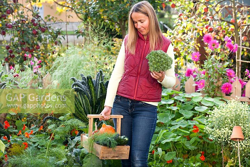 Woman carrying a trug of harvested vegetables.