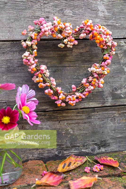 A Euonymus - Spindle heart shaped wreath accompanied with Cosmos flowers