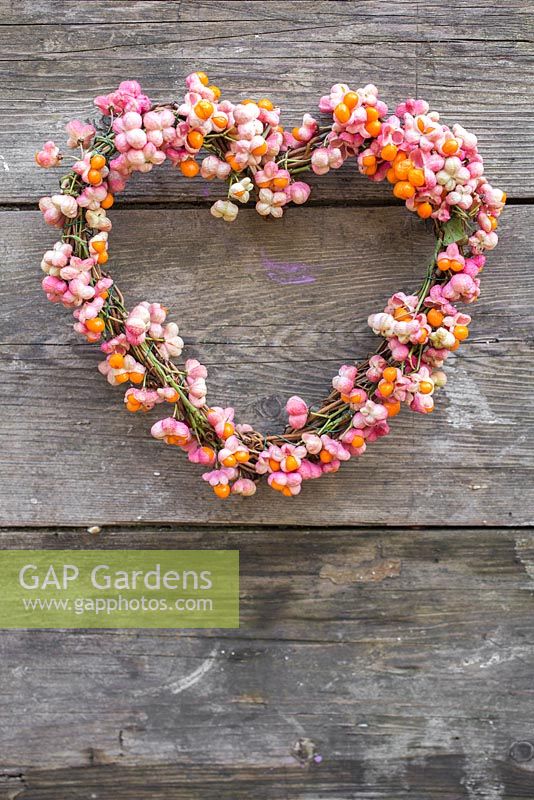 A Euonymus - Spindle heart shaped wreath against a wooden backdrop