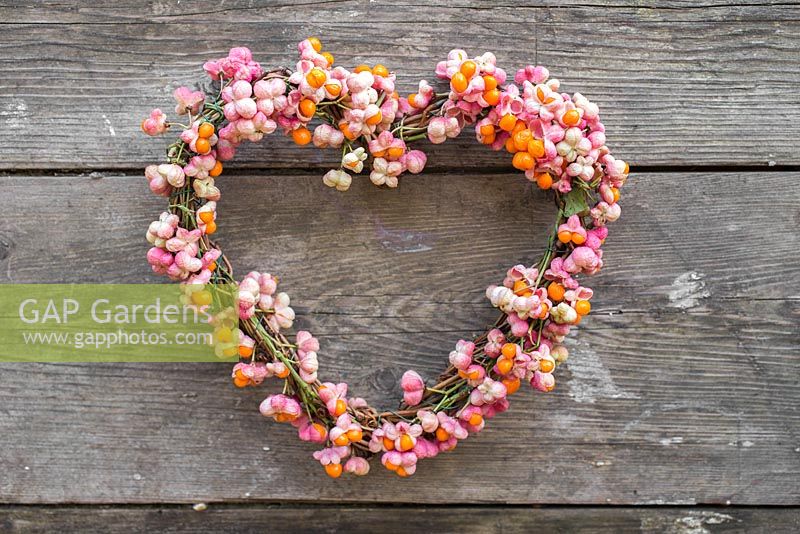 A Euonymus - Spindle heart shaped wreath against a wooden backdrop