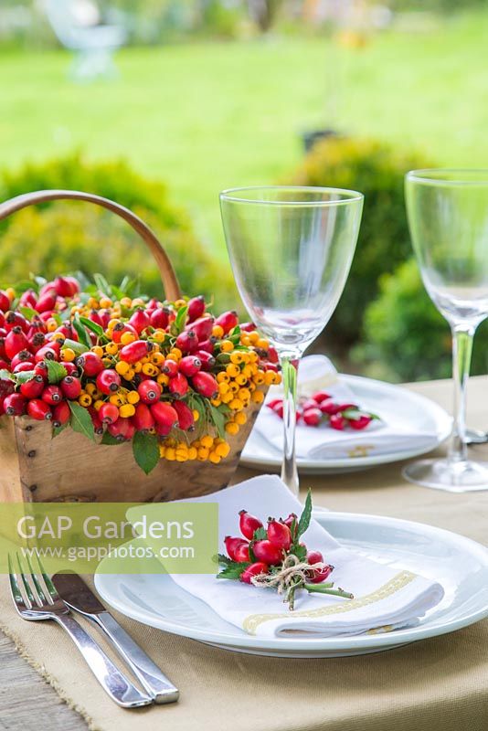 Table place setting featuring the use of Rosa - Rose hips and Pyracantha berries, with a view to the garden