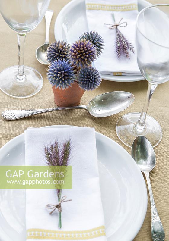 Table place setting featuring the use of Pennisetum setaceum 'Rubrum' and Echinops ritro
