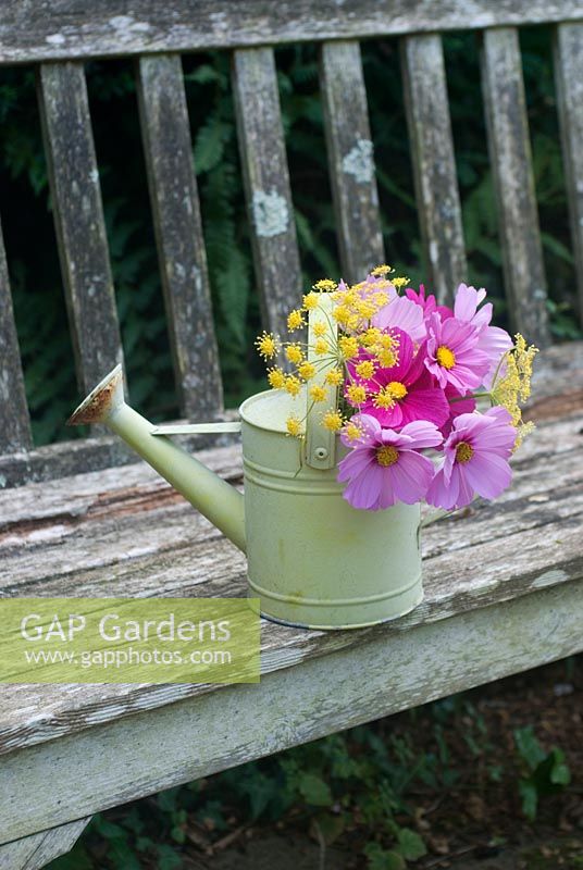 Cut garden flower arrangement - pink cosmos and fennel flowers in childs watering can