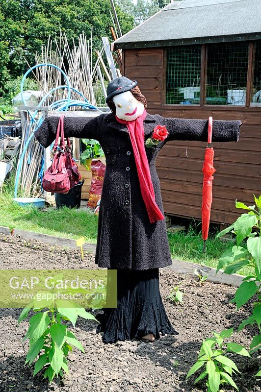 Mary Poppins lady Scarecrow, Paddock Allotments 