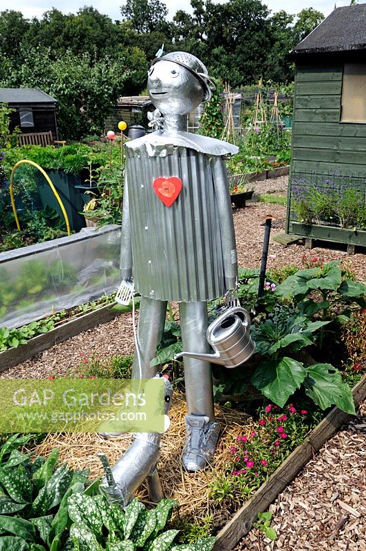 The Tin Man Scarecrow from The Wizard of Oz, with dog, Paddock Allotments 