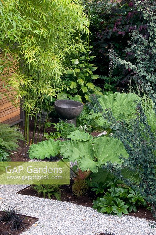 Gravel path with view to Bamboo plant and stone ornament. Gunnera. Victoria BC, Canada