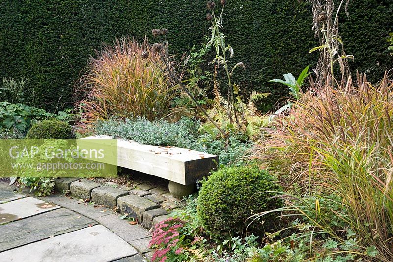Curved wooden bench in Sybil's Garden surrounded by clipped yew, sedums and grasses showing autumn tints.