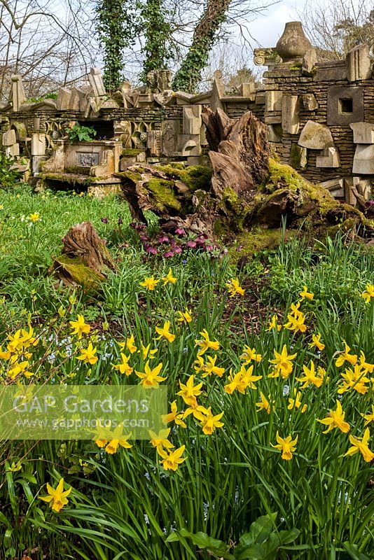 The Wall Of Gifts and daffodils in The Stumpery, Highgrove Garden, April 2013