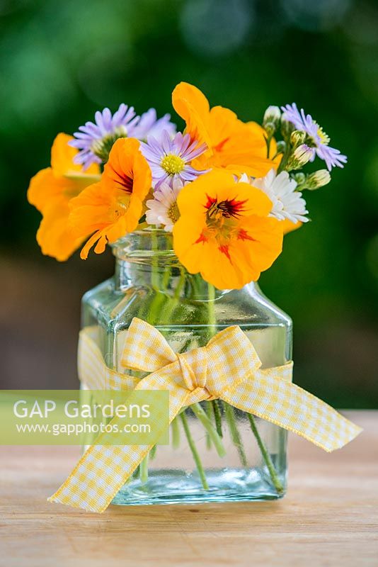 A summer posie of everyday garden flowers - Nasturtium, Aster and Anthemis in a glass jar decorated with yellow gingham ribbon.