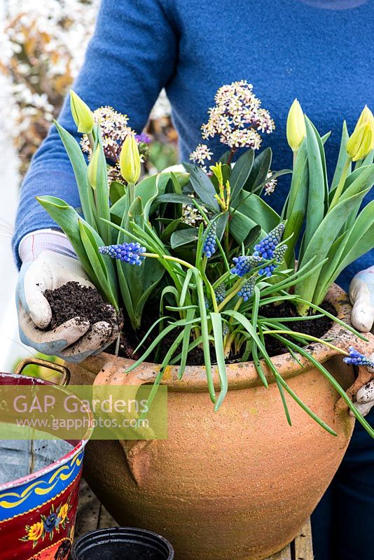 Step by step planting a spring container for Easter. Top up the soil in the container and make sure the soil is well firmed down.