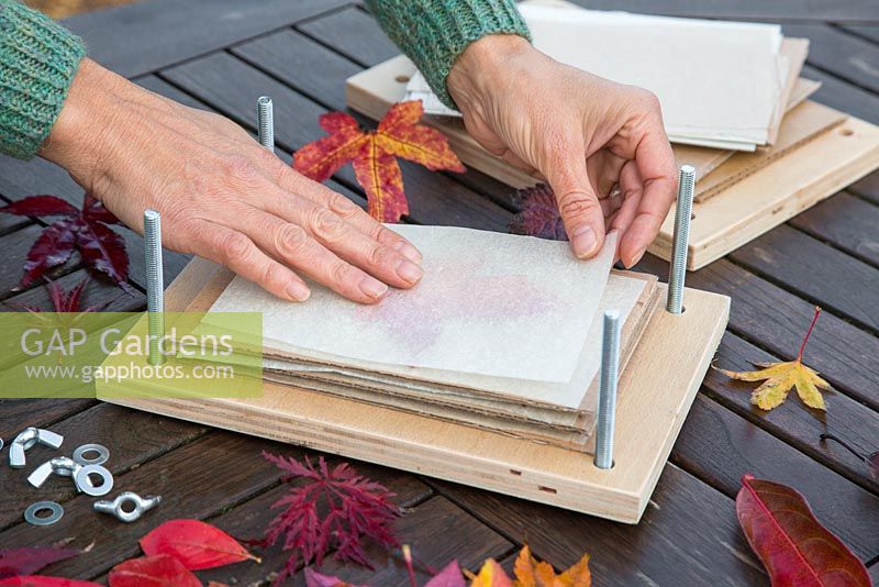 Once the leaf is in position, carefully add a layer of craft paper on top