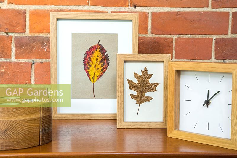 Pressed Autumnal leaves displayed in a photo frame.