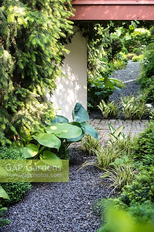 Black gravel path leading to mirror amongst Hosta 'Sum and Substance', Hosta 'Big Daddy', Hosta 'Fire and Ice', Anemanthele lessoniana, Buxus sempervirens and Taxus baccata
