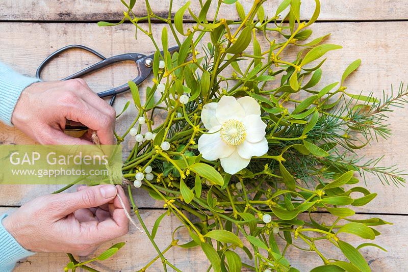 Creating a bouquet made of Mistletoe, a Hellebore flower and Pinus. 