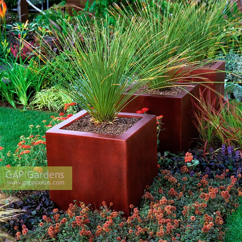 For maximum impact, plant in threes. Here, plants are raised in square, red glazed pots.