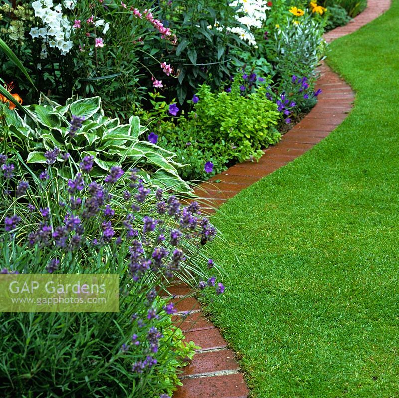Curving line of brick creates lovely edge to lawn - sunk below lawn mower level - and bed of lavender, hosta, carex, campanula with oregano.
