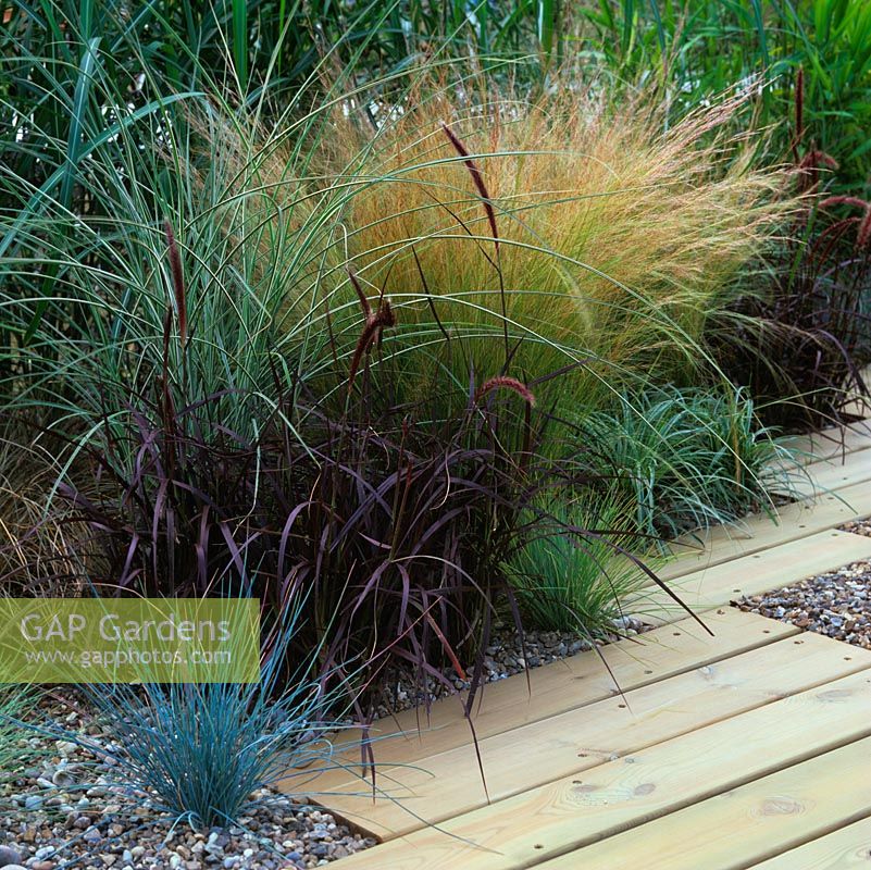 Timber decking is broken by gravel bed with clumps of grass chosen for their contrasting foliage.