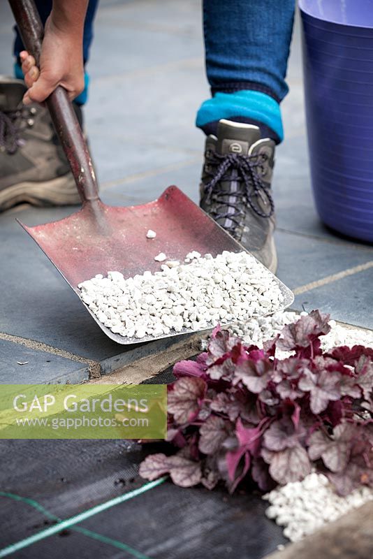 Woman placing the gravel around the plant on top of the weed suppression membrane.