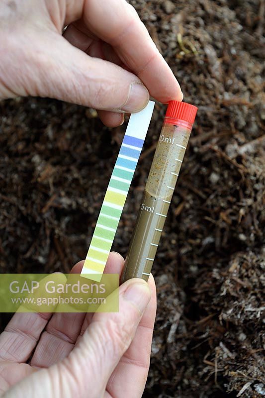 Using soil test kit to check pH