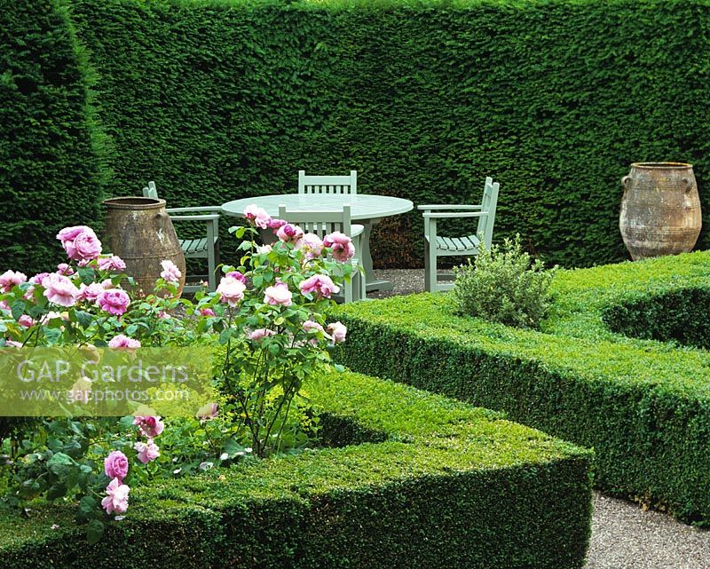 Tall yew hedges enclose a private seating area with table and chairs. Square box-edged beds filled with Rosa Mary Rose, separated by gravel paths.
