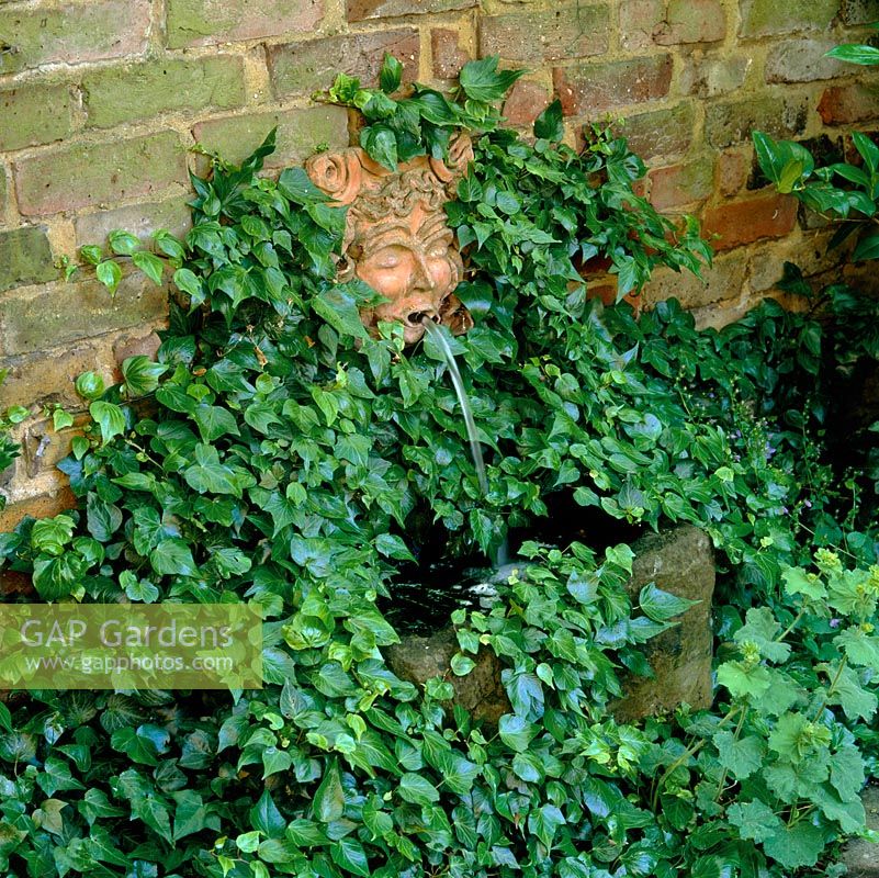 A mythical face, cast in clay and set in ivy, spouts water into a small trough.