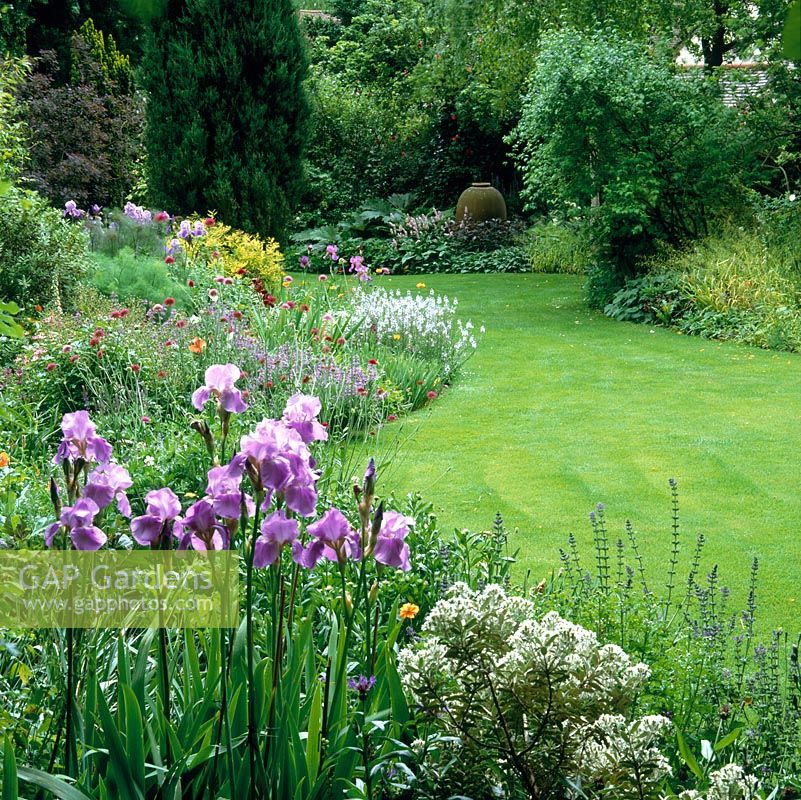 Curving round lawn, summer bed of bearded Iris Dreamcastle, catmint, geum, centaurea, veronica, scabious, poppies and fennel.