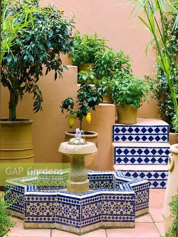 Moroccan courtyard with potted fruit trees and different varieties of mint. Central, star-shaped, tiled pool and fountain.