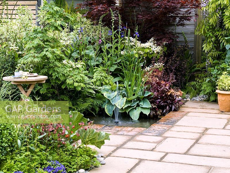 Sunken pool with fountain set into paved terrace, edged in bed of hosta, heuchera, elder, foxglove, hydrangea, dogwood and acer. Rheum, potentilla and campanula.