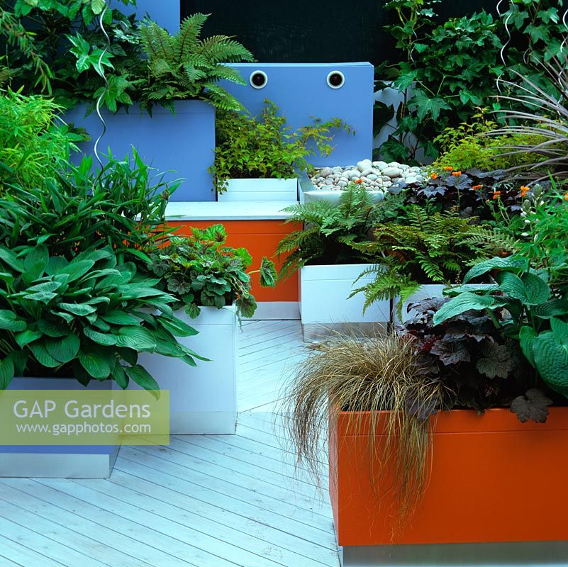 Movable, modular garden for small areas. Plants -  hostas, heuchera, bamboo, fern, fatsia, ivy and Carex comans Bronze.