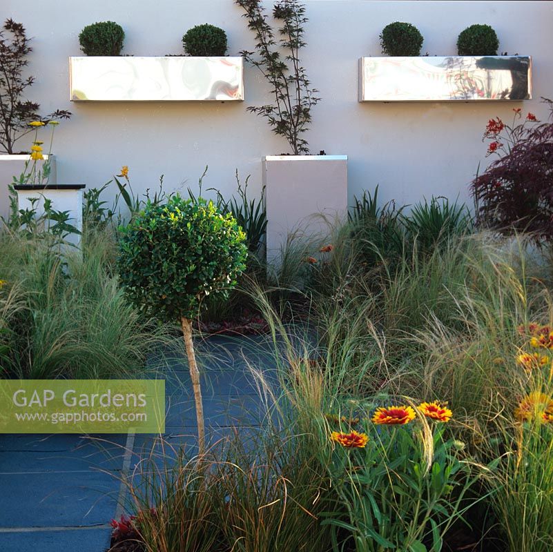 Modern courtyard. Clean lines and low maintenance plants - stipa, rudbeckia and crocosmia. Stainless steel wall boxes   box balls. Raised planters and acers add height. Walled.