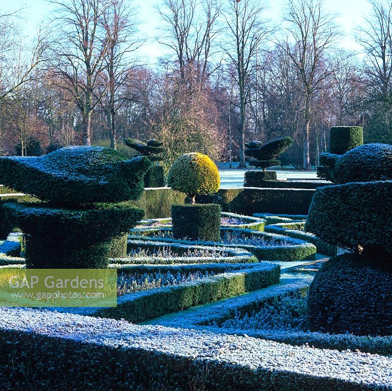 Formal, early 20th century knot garden. Yew topiary - peacocks, chess pieces and abstract shapes. Low box hedges mark parterre pattern.
