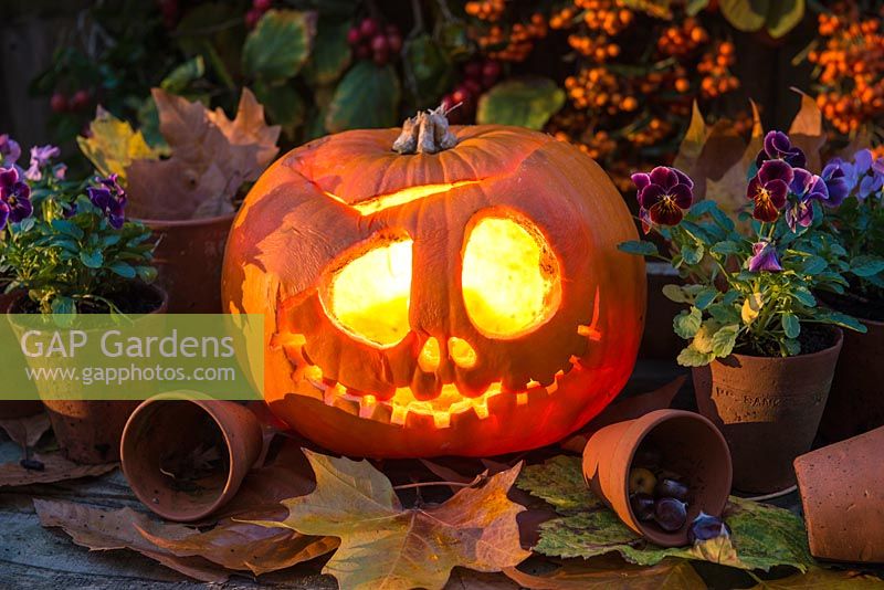 A pumpkin carved into a ghoulish face for halloween, a lighted candle inside.