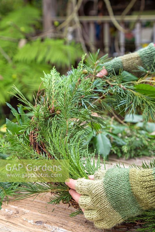 Mixed Evergreen Wreath. Adding Sequoiadendron giganteum foliage to Grapevine wreath